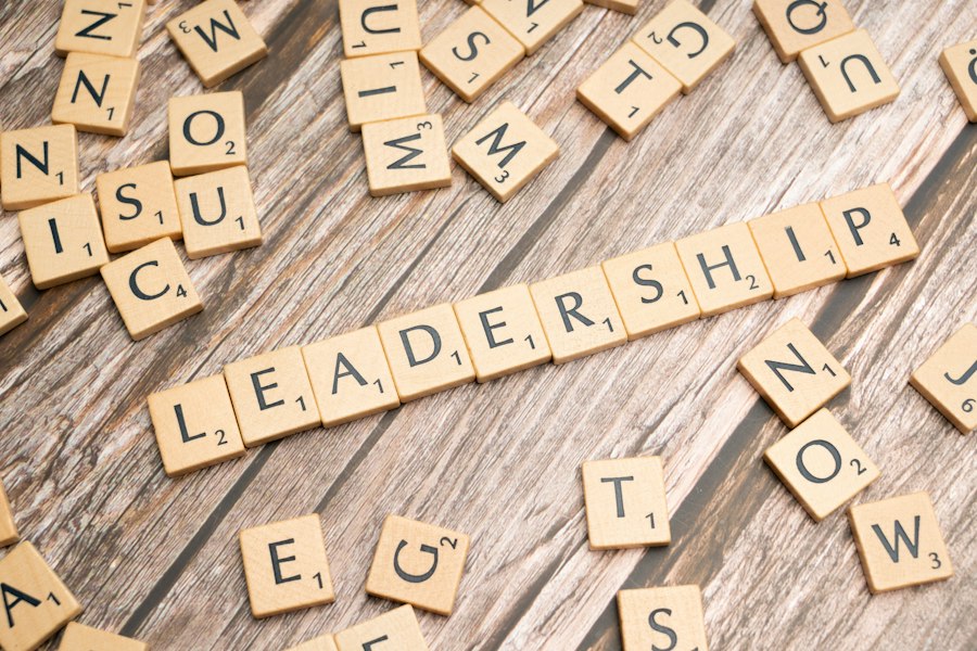 Photo manager vs leader differences